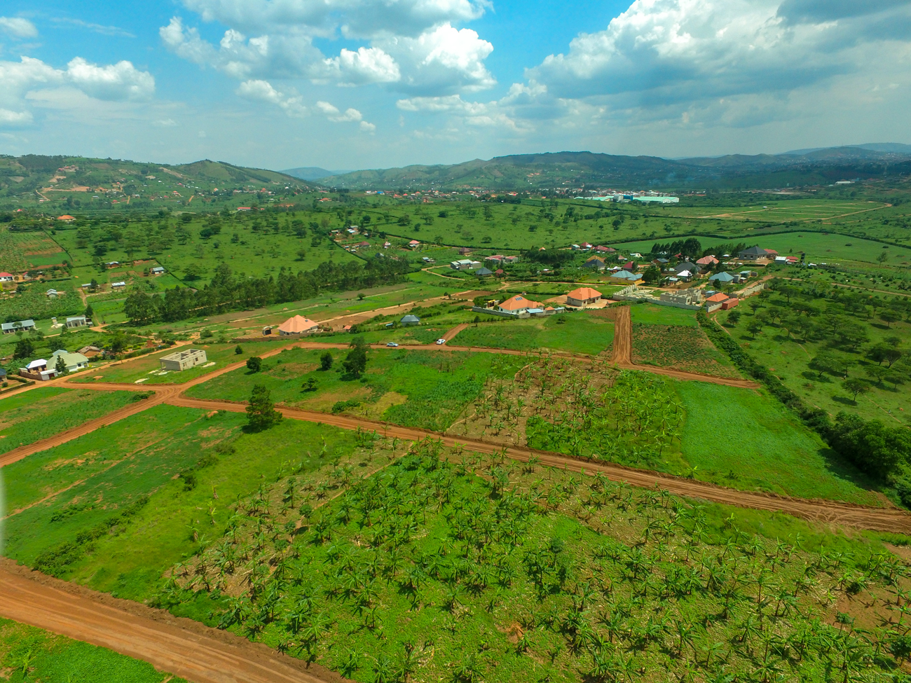 Contact - Grand West Property Consults